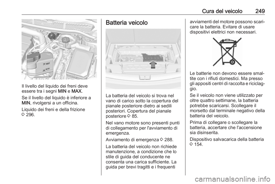 OPEL ASTRA K 2018 Manuale di uso e manutenzione (in Italian) Cura del veicolo249
Il livello del liquido dei freni deve
essere tra i segni MIN e MAX .
Se il livello del liquido è inferiore a
MIN , rivolgersi a un officina.
Liquido dei freni e della frizione
3 OPEL ASTRA K 2018 Manuale di uso e manutenzione (in Italian) Cura del veicolo249
Il livello del liquido dei freni deve
essere tra i segni MIN e MAX .
Se il livello del liquido è inferiore a
MIN , rivolgersi a un officina.
Liquido dei freni e della frizione
3