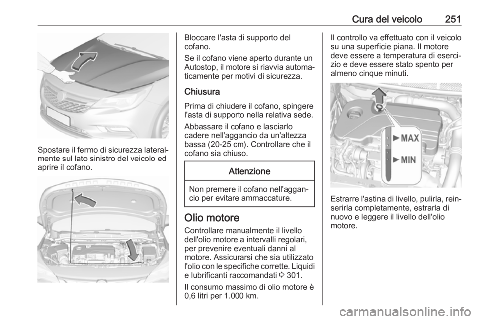 OPEL ASTRA K 2018.5 Manuale di uso e manutenzione (in Italian) Cura del veicolo251
Spostare il fermo di sicurezza lateral‐mente sul lato sinistro del veicolo ed
aprire il cofano.
Bloccare l'asta di supporto del
cofano.
Se il cofano viene aperto durante un A OPEL ASTRA K 2018.5 Manuale di uso e manutenzione (in Italian) Cura del veicolo251
Spostare il fermo di sicurezza lateral‐mente sul lato sinistro del veicolo ed
aprire il cofano.
Bloccare l'asta di supporto del
cofano.
Se il cofano viene aperto durante un A