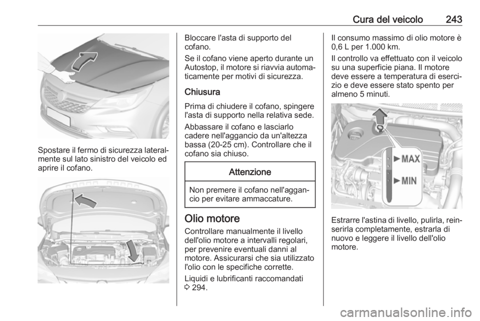 OPEL ASTRA K 2019.5 Manuale di uso e manutenzione (in Italian) Cura del veicolo243
Spostare il fermo di sicurezza lateral‐mente sul lato sinistro del veicolo ed
aprire il cofano.
Bloccare l'asta di supporto del
cofano.
Se il cofano viene aperto durante un A OPEL ASTRA K 2019.5 Manuale di uso e manutenzione (in Italian) Cura del veicolo243
Spostare il fermo di sicurezza lateral‐mente sul lato sinistro del veicolo ed
aprire il cofano.
Bloccare l'asta di supporto del
cofano.
Se il cofano viene aperto durante un A