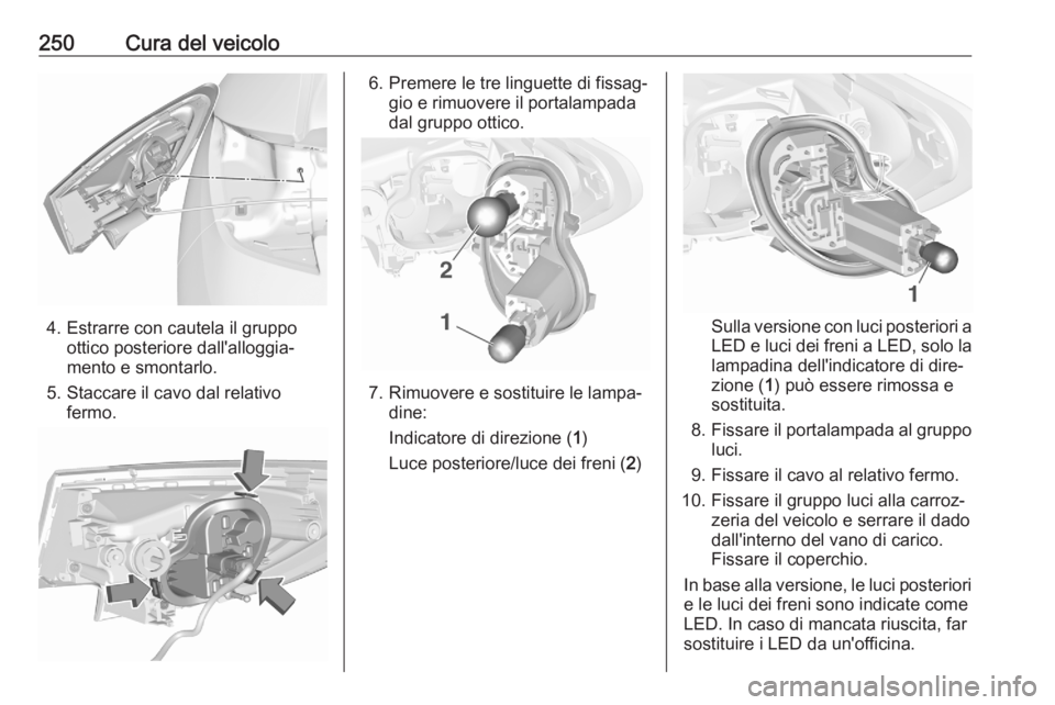 OPEL ASTRA K 2020  Manuale di uso e manutenzione (in Italian) 250Cura del veicolo
4. Estrarre con cautela il gruppoottico posteriore dall'alloggia‐
mento e smontarlo.
5. Staccare il cavo dal relativo fermo.
6. Premere le tre linguette di fissag‐gio e rim