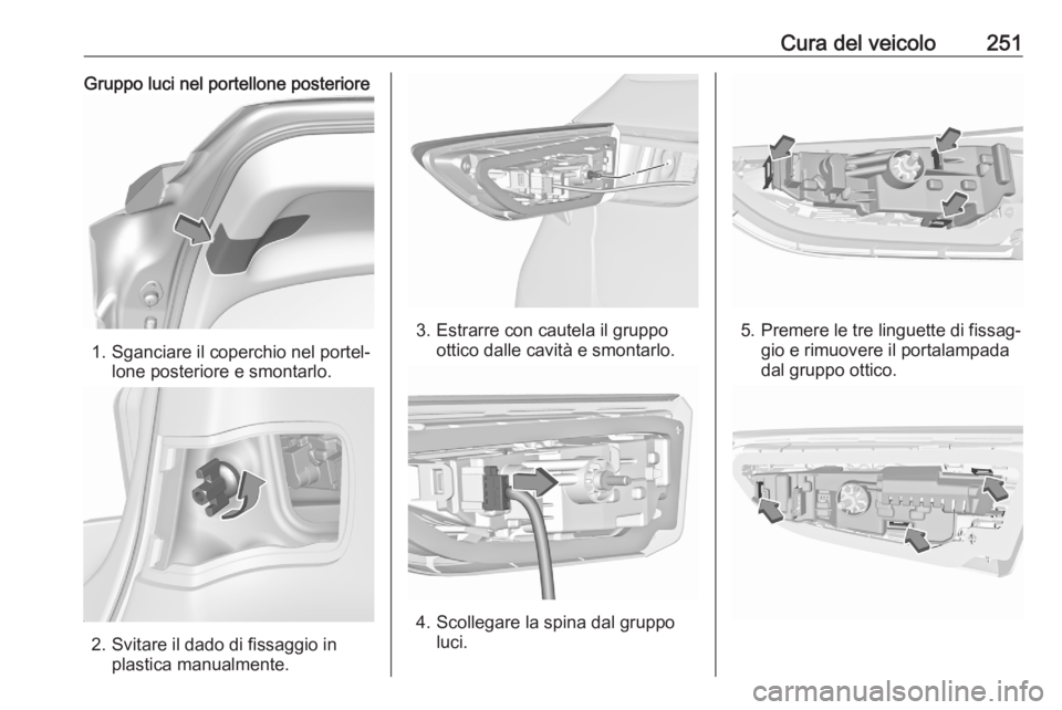 OPEL ASTRA K 2020  Manuale di uso e manutenzione (in Italian) Cura del veicolo251Gruppo luci nel portellone posteriore
1. Sganciare il coperchio nel portel‐lone posteriore e smontarlo.
2. Svitare il dado di fissaggio inplastica manualmente.
3. Estrarre con cau