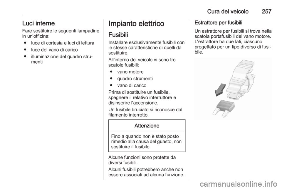 OPEL ASTRA K 2020  Manuale di uso e manutenzione (in Italian) Cura del veicolo257Luci interne
Fare sostituire le seguenti lampadine
in un'officina:
● luce di cortesia e luci di lettura
● luce del vano di carico
● illuminazione del quadro stru‐ mentiI