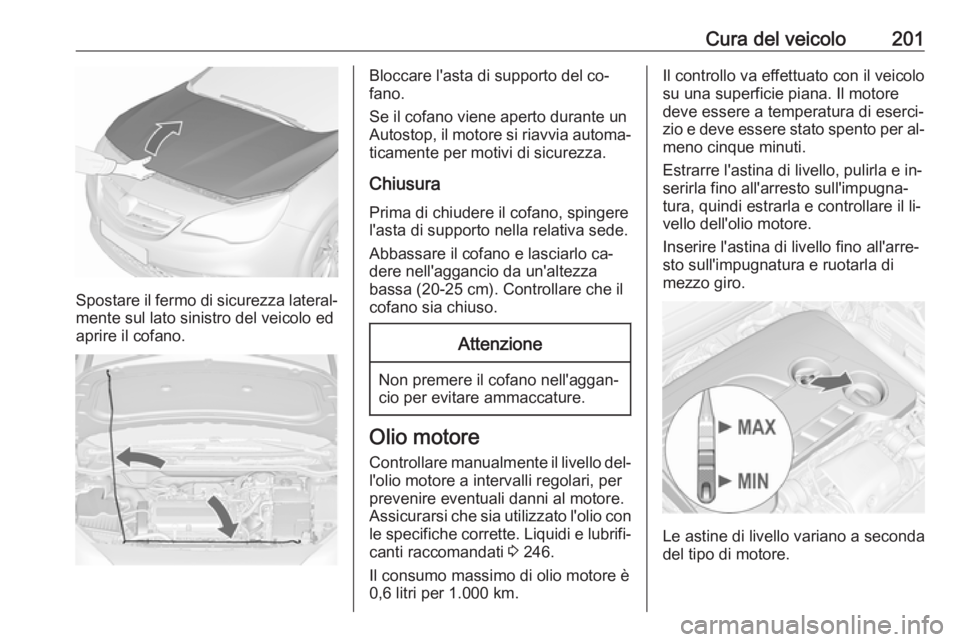 OPEL CASCADA 2016.5  Manuale di uso e manutenzione (in Italian) Cura del veicolo201
Spostare il fermo di sicurezza lateral‐mente sul lato sinistro del veicolo ed
aprire il cofano.
Bloccare l'asta di supporto del co‐
fano.
Se il cofano viene aperto durante 