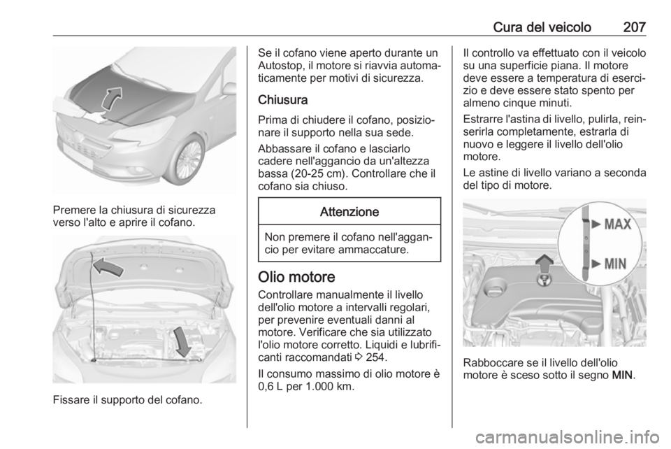 OPEL CORSA E 2018 Manuale di uso e manutenzione (in Italian) Cura del veicolo207
Premere la chiusura di sicurezza
verso l'alto e aprire il cofano.
Fissare il supporto del cofano.
Se il cofano viene aperto durante un
Autostop, il motore si riavvia automa‐
OPEL CORSA E 2018 Manuale di uso e manutenzione (in Italian) Cura del veicolo207
Premere la chiusura di sicurezza
verso l'alto e aprire il cofano.
Fissare il supporto del cofano.
Se il cofano viene aperto durante un
Autostop, il motore si riavvia automa‐