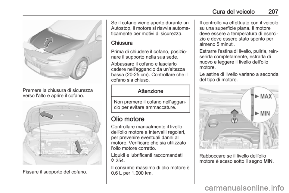 OPEL CORSA E 2018.5  Manuale di uso e manutenzione (in Italian) Cura del veicolo207
Premere la chiusura di sicurezza
verso l'alto e aprire il cofano.
Fissare il supporto del cofano.
Se il cofano viene aperto durante un
Autostop, il motore si riavvia automa‐
