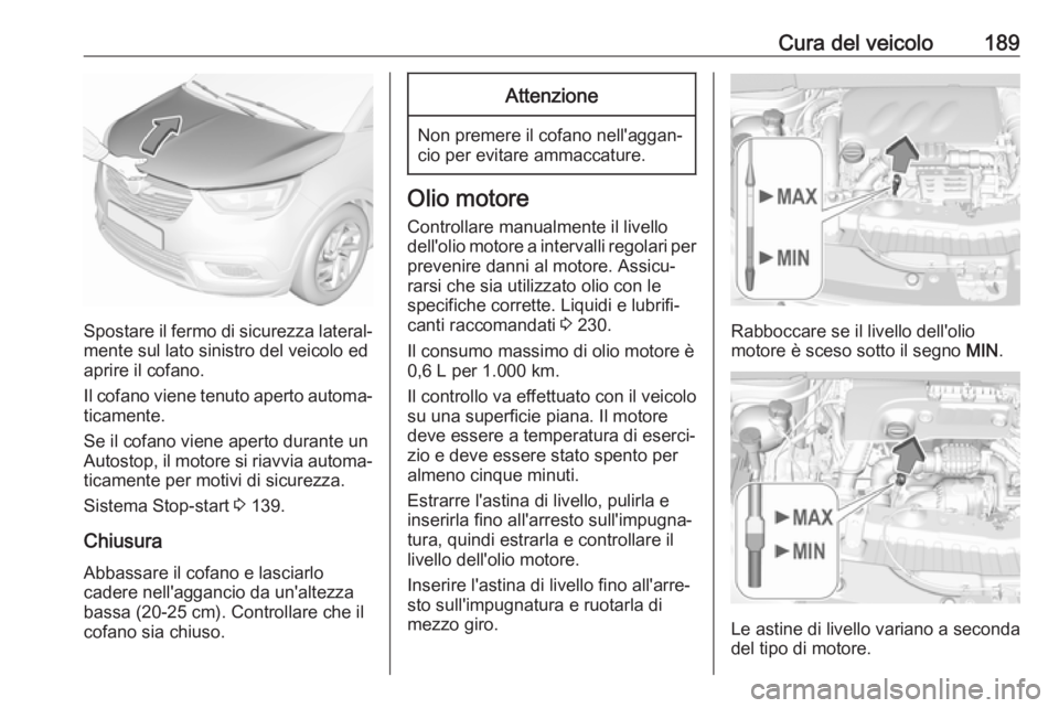 OPEL CROSSLAND X 2017.75 Manuale di uso e manutenzione (in Italian) Cura del veicolo189
Spostare il fermo di sicurezza lateral‐mente sul lato sinistro del veicolo ed
aprire il cofano.
Il cofano viene tenuto aperto automa‐
ticamente.
Se il cofano viene aperto duran OPEL CROSSLAND X 2017.75 Manuale di uso e manutenzione (in Italian) Cura del veicolo189
Spostare il fermo di sicurezza lateral‐mente sul lato sinistro del veicolo ed
aprire il cofano.
Il cofano viene tenuto aperto automa‐
ticamente.
Se il cofano viene aperto duran