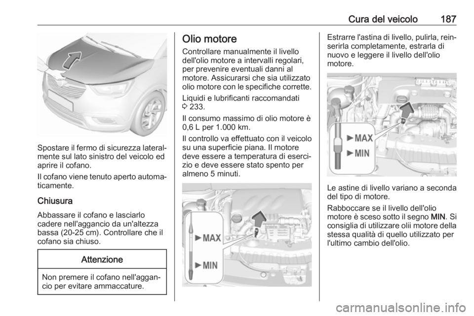 OPEL CROSSLAND X 2019.75 Manuale di uso e manutenzione (in Italian) Cura del veicolo187
Spostare il fermo di sicurezza lateral‐mente sul lato sinistro del veicolo ed
aprire il cofano.
Il cofano viene tenuto aperto automa‐
ticamente.
Chiusura
Abbassare il cofano e OPEL CROSSLAND X 2019.75 Manuale di uso e manutenzione (in Italian) Cura del veicolo187
Spostare il fermo di sicurezza lateral‐mente sul lato sinistro del veicolo ed
aprire il cofano.
Il cofano viene tenuto aperto automa‐
ticamente.
Chiusura
Abbassare il cofano e