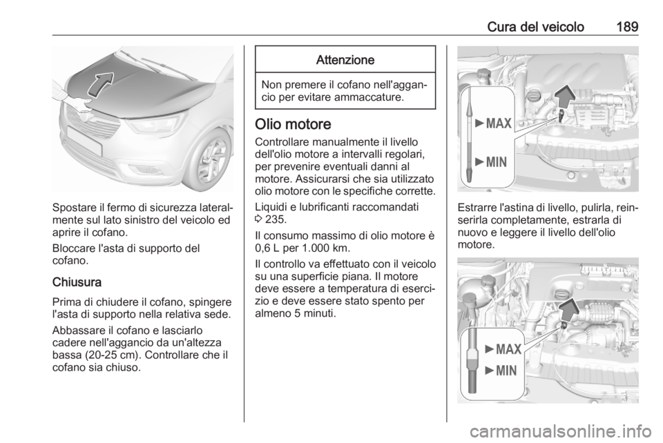 OPEL CROSSLAND X 2020  Manuale di uso e manutenzione (in Italian) Cura del veicolo189
Spostare il fermo di sicurezza lateral‐mente sul lato sinistro del veicolo ed
aprire il cofano.
Bloccare l'asta di supporto del
cofano.
Chiusura
Prima di chiudere il cofano, 