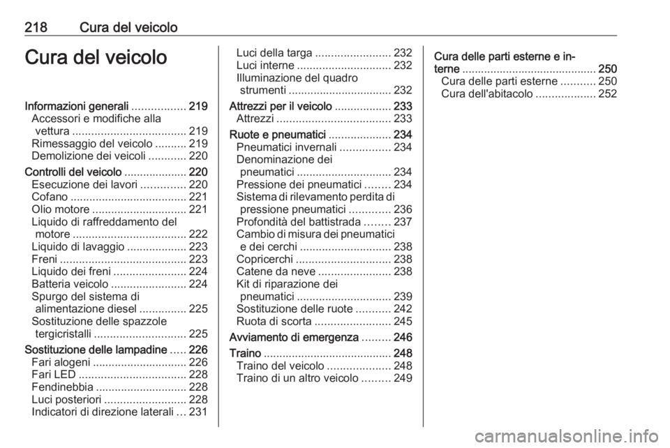 OPEL GRANDLAND X 2018  Manuale di uso e manutenzione (in Italian) 218Cura del veicoloCura del veicoloInformazioni generali.................219
Accessori e modifiche alla vettura .................................... 219
Rimessaggio del veicolo ..........219
Demolizio