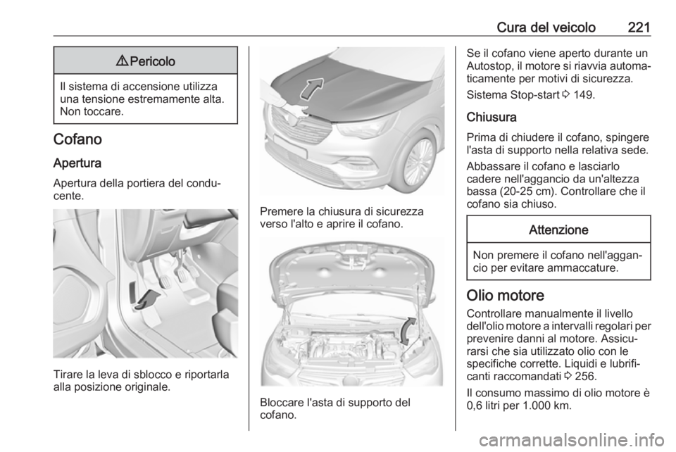 OPEL GRANDLAND X 2018 Manuale di uso e manutenzione (in Italian) Cura del veicolo2219Pericolo
Il sistema di accensione utilizza
una tensione estremamente alta.
Non toccare.
Cofano
Apertura Apertura della portiera del condu‐
cente.
Tirare la leva di sblocco e ripo OPEL GRANDLAND X 2018 Manuale di uso e manutenzione (in Italian) Cura del veicolo2219Pericolo
Il sistema di accensione utilizza
una tensione estremamente alta.
Non toccare.
Cofano
Apertura Apertura della portiera del condu‐
cente.
Tirare la leva di sblocco e ripo