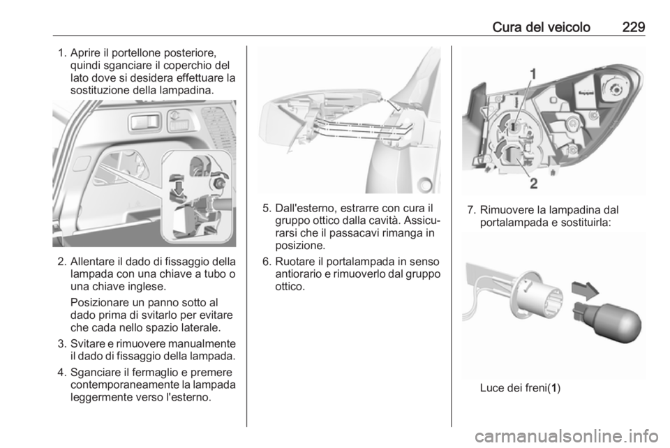 OPEL GRANDLAND X 2018 Manuale di uso e manutenzione (in Italian) Cura del veicolo2291. Aprire il portellone posteriore,quindi sganciare il coperchio del
lato dove si desidera effettuare la
sostituzione della lampadina.
2. Allentare il dado di fissaggio della
lampad OPEL GRANDLAND X 2018 Manuale di uso e manutenzione (in Italian) Cura del veicolo2291. Aprire il portellone posteriore,quindi sganciare il coperchio del
lato dove si desidera effettuare la
sostituzione della lampadina.
2. Allentare il dado di fissaggio della
lampad