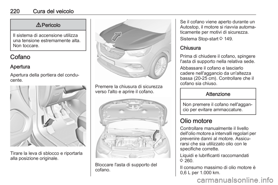 OPEL GRANDLAND X 2018.5  Manuale di uso e manutenzione (in Italian) 220Cura del veicolo9Pericolo
Il sistema di accensione utilizza
una tensione estremamente alta.
Non toccare.
Cofano
Apertura Apertura della portiera del condu‐
cente.
Tirare la leva di sblocco e ripo