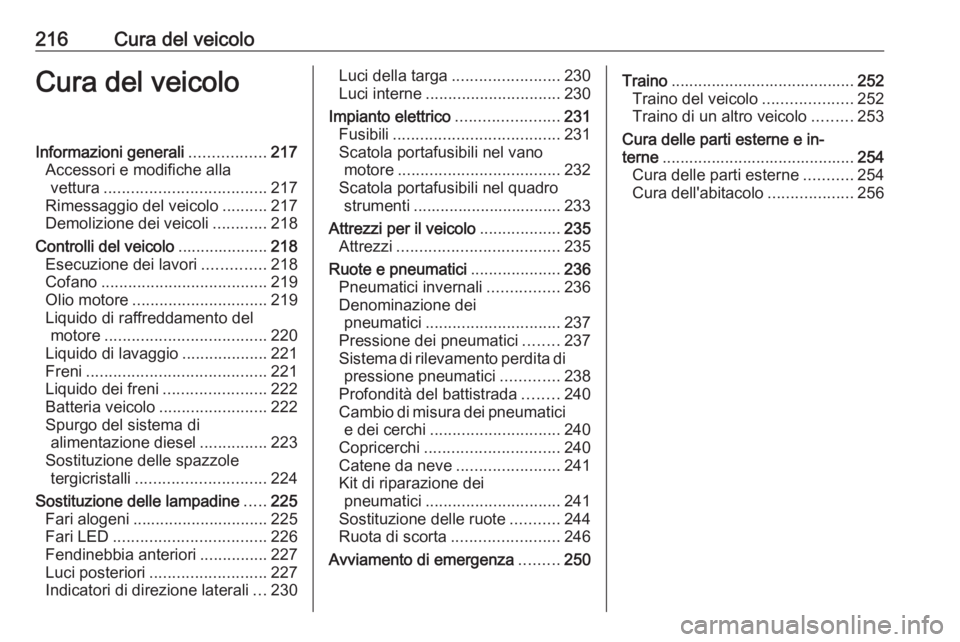 OPEL GRANDLAND X 2019  Manuale di uso e manutenzione (in Italian) 216Cura del veicoloCura del veicoloInformazioni generali.................217
Accessori e modifiche alla vettura .................................... 217
Rimessaggio del veicolo ..........217
Demolizio