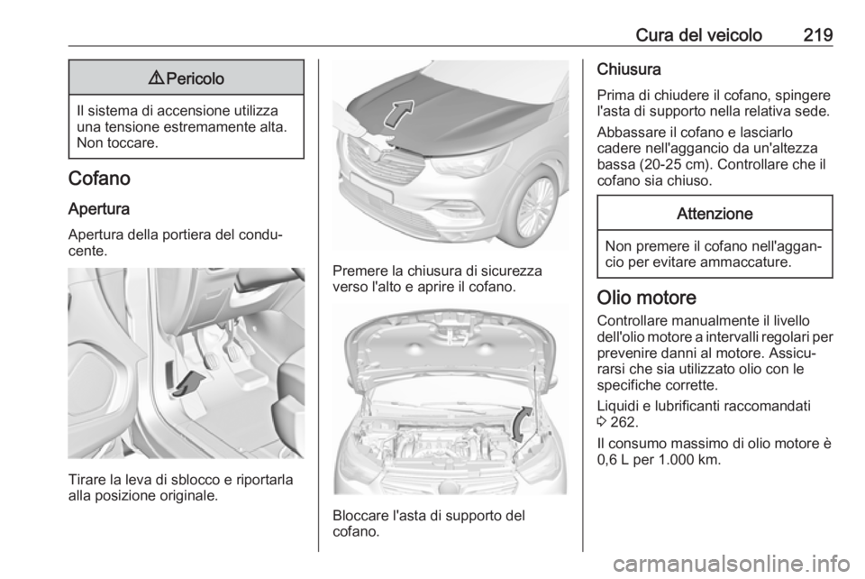 OPEL GRANDLAND X 2019 Manuale di uso e manutenzione (in Italian) Cura del veicolo2199Pericolo
Il sistema di accensione utilizza
una tensione estremamente alta.
Non toccare.
Cofano
Apertura Apertura della portiera del condu‐
cente.
Tirare la leva di sblocco e ripo OPEL GRANDLAND X 2019 Manuale di uso e manutenzione (in Italian) Cura del veicolo2199Pericolo
Il sistema di accensione utilizza
una tensione estremamente alta.
Non toccare.
Cofano
Apertura Apertura della portiera del condu‐
cente.
Tirare la leva di sblocco e ripo