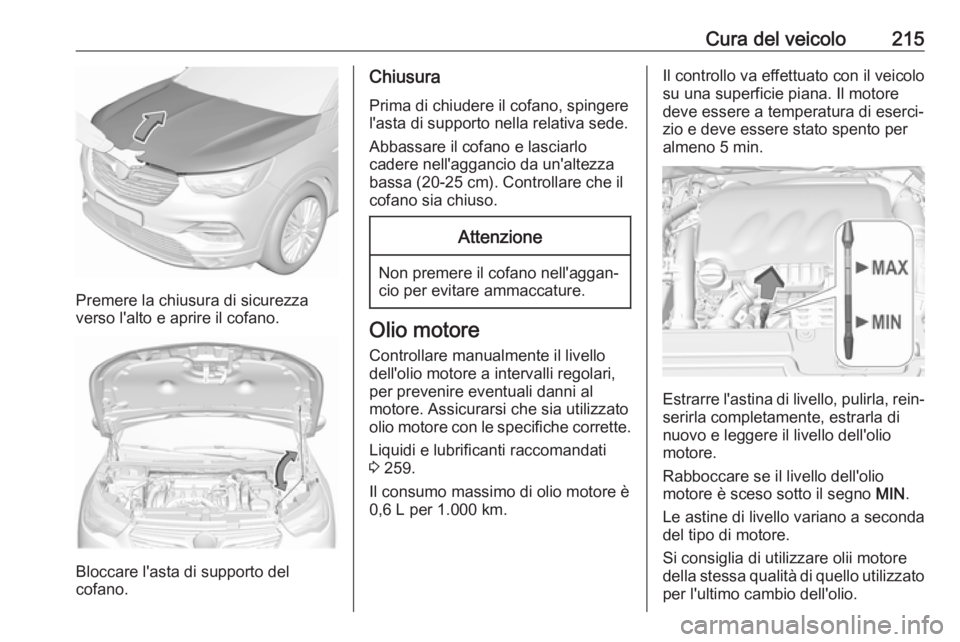 OPEL GRANDLAND X 2019.75  Manuale di uso e manutenzione (in Italian) Cura del veicolo215
Premere la chiusura di sicurezza
verso l'alto e aprire il cofano.
Bloccare l'asta di supporto del
cofano.
Chiusura
Prima di chiudere il cofano, spingere
l'asta di suppo