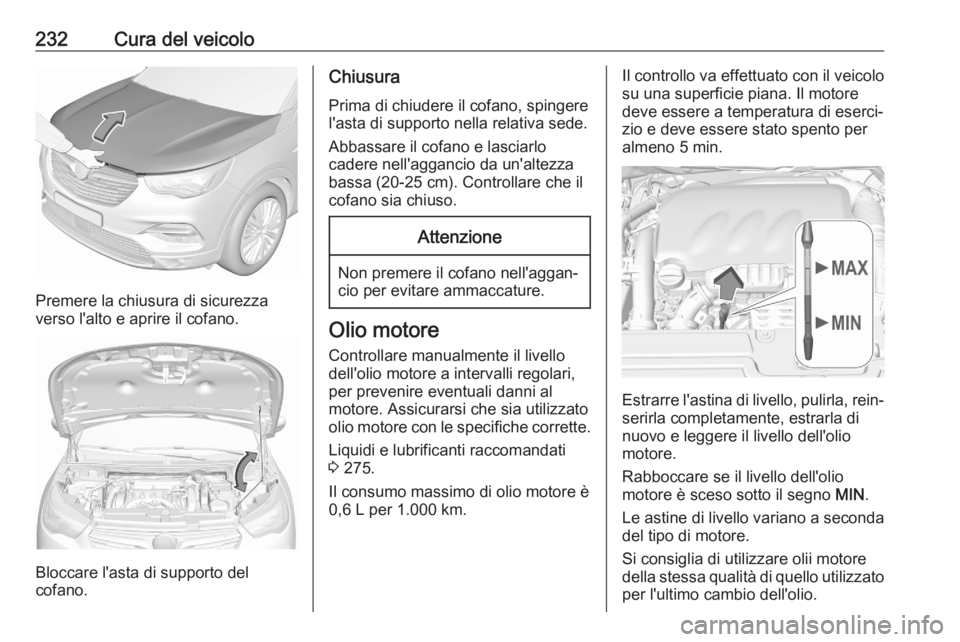 OPEL GRANDLAND X 2020  Manuale di uso e manutenzione (in Italian) 232Cura del veicolo
Premere la chiusura di sicurezza
verso l'alto e aprire il cofano.
Bloccare l'asta di supporto del
cofano.
Chiusura
Prima di chiudere il cofano, spingere
l'asta di suppo