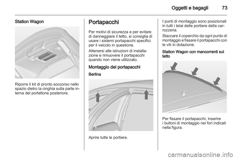 OPEL INSIGNIA 2010  Manuale di uso e manutenzione (in Italian) 