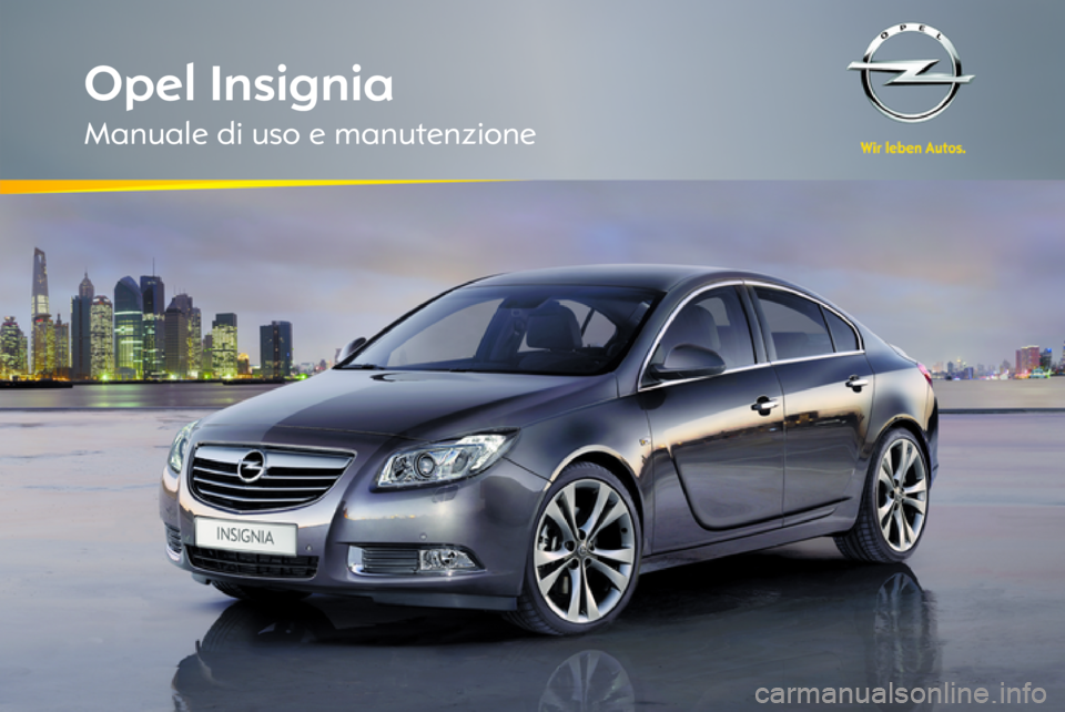 OPEL INSIGNIA 2012  Manuale di uso e manutenzione (in Italian) 