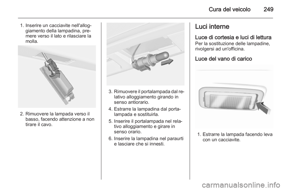 OPEL INSIGNIA 2014  Manuale di uso e manutenzione (in Italian) Cura del veicolo249
1. Inserire un cacciavite nell'allog‐giamento della lampadina, pre‐
mere verso il lato e rilasciare la
molla.
2. Rimuovere la lampada verso il basso, facendo attenzione a n