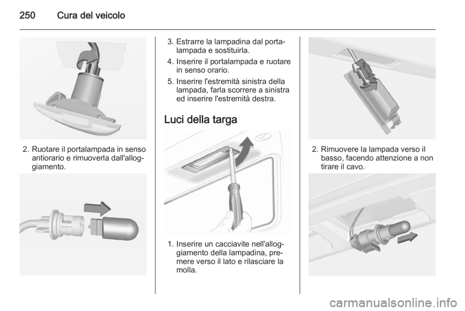 OPEL INSIGNIA 2014.5 Manuale di uso e manutenzione (in Italian) 250Cura del veicolo
2. Ruotare il portalampada in sensoantiorario e rimuoverla dall'allog‐
giamento.
3. Estrarre la lampadina dal porta‐ lampada e sostituirla.
4. Inserire il portalampada e ru OPEL INSIGNIA 2014.5 Manuale di uso e manutenzione (in Italian) 250Cura del veicolo
2. Ruotare il portalampada in sensoantiorario e rimuoverla dall'allog‐
giamento.
3. Estrarre la lampadina dal porta‐ lampada e sostituirla.
4. Inserire il portalampada e ru