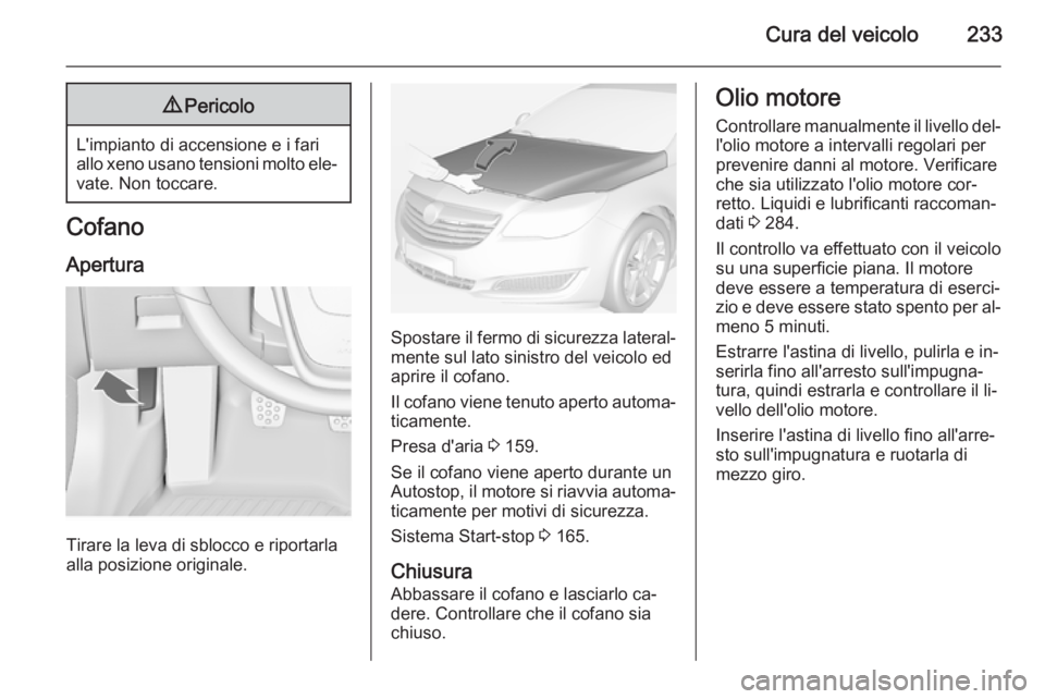 OPEL INSIGNIA 2015  Manuale di uso e manutenzione (in Italian) Cura del veicolo2339Pericolo
L'impianto di accensione e i fari
allo xeno usano tensioni molto ele‐ vate. Non toccare.
Cofano
Apertura
Tirare la leva di sblocco e riportarla
alla posizione origin