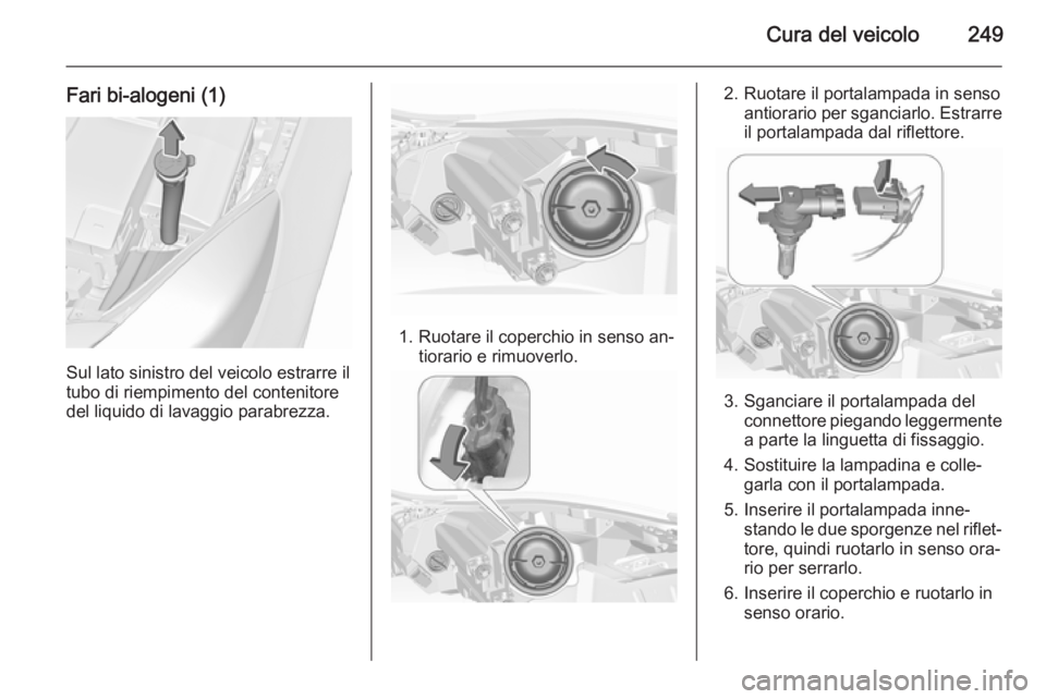 OPEL INSIGNIA 2015.5 Manuale di uso e manutenzione (in Italian) Cura del veicolo249
Fari bi-alogeni (1)
Sul lato sinistro del veicolo estrarre il
tubo di riempimento del contenitore
del liquido di lavaggio parabrezza.
1. Ruotare il coperchio in senso an‐ tiorari OPEL INSIGNIA 2015.5 Manuale di uso e manutenzione (in Italian) Cura del veicolo249
Fari bi-alogeni (1)
Sul lato sinistro del veicolo estrarre il
tubo di riempimento del contenitore
del liquido di lavaggio parabrezza.
1. Ruotare il coperchio in senso an‐ tiorari