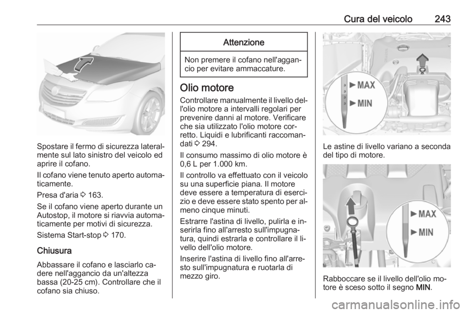 OPEL INSIGNIA 2016.5 Manuale di uso e manutenzione (in Italian) Cura del veicolo243
Spostare il fermo di sicurezza lateral‐mente sul lato sinistro del veicolo ed
aprire il cofano.
Il cofano viene tenuto aperto automa‐
ticamente.
Presa d'aria 3 163.
Se il OPEL INSIGNIA 2016.5 Manuale di uso e manutenzione (in Italian) Cura del veicolo243
Spostare il fermo di sicurezza lateral‐mente sul lato sinistro del veicolo ed
aprire il cofano.
Il cofano viene tenuto aperto automa‐
ticamente.
Presa d'aria 3 163.
Se il