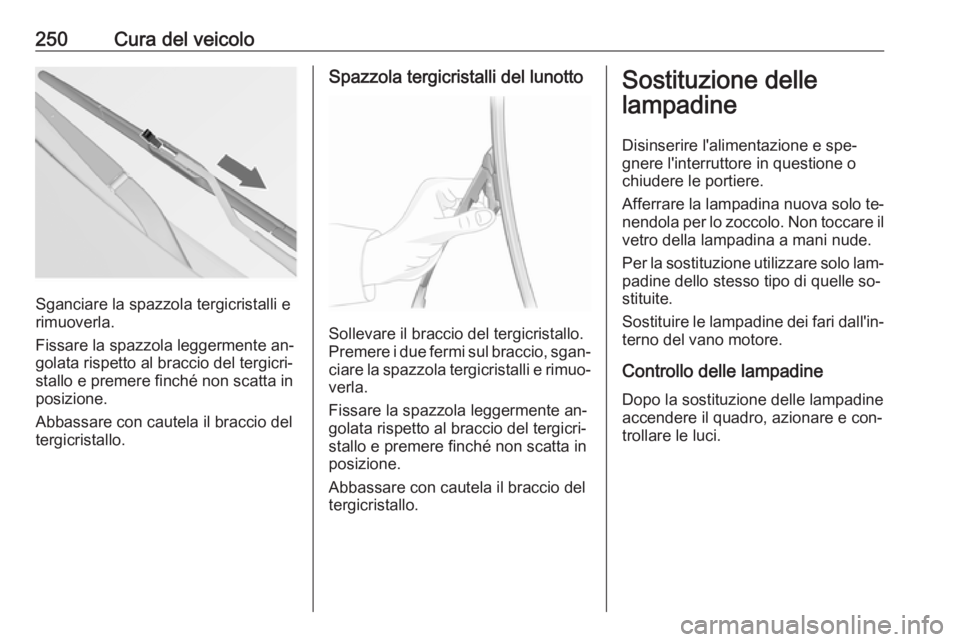 OPEL INSIGNIA 2016.5 Manuale di uso e manutenzione (in Italian) 250Cura del veicolo
Sganciare la spazzola tergicristalli e
rimuoverla.
Fissare la spazzola leggermente an‐
golata rispetto al braccio del tergicri‐
stallo e premere finché non scatta in
posizione OPEL INSIGNIA 2016.5 Manuale di uso e manutenzione (in Italian) 250Cura del veicolo
Sganciare la spazzola tergicristalli e
rimuoverla.
Fissare la spazzola leggermente an‐
golata rispetto al braccio del tergicri‐
stallo e premere finché non scatta in
posizione