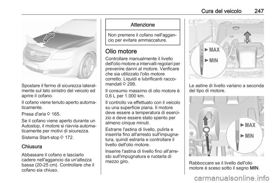 OPEL INSIGNIA 2017 Manuale di uso e manutenzione (in Italian) Cura del veicolo247
Spostare il fermo di sicurezza lateral‐mente sul lato sinistro del veicolo ed
aprire il cofano.
Il cofano viene tenuto aperto automa‐
ticamente.
Presa d'aria 3 165.
Se il OPEL INSIGNIA 2017 Manuale di uso e manutenzione (in Italian) Cura del veicolo247
Spostare il fermo di sicurezza lateral‐mente sul lato sinistro del veicolo ed
aprire il cofano.
Il cofano viene tenuto aperto automa‐
ticamente.
Presa d'aria 3 165.
Se il