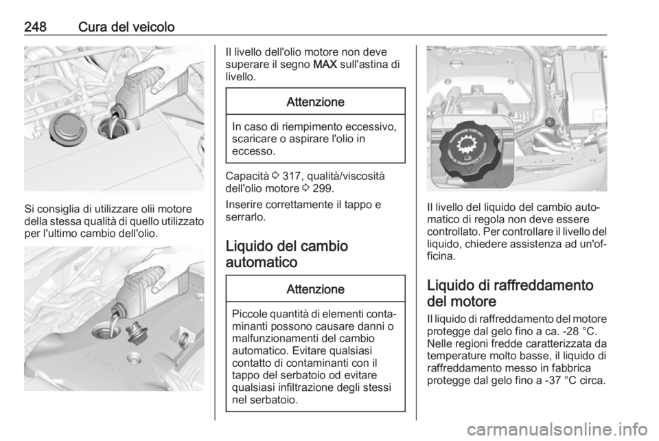 OPEL INSIGNIA 2017 Manuale di uso e manutenzione (in Italian) 248Cura del veicolo
Si consiglia di utilizzare olii motore
della stessa qualità di quello utilizzato per l'ultimo cambio dell'olio.
Il livello dell'olio motore non deve
superare il segno OPEL INSIGNIA 2017 Manuale di uso e manutenzione (in Italian) 248Cura del veicolo
Si consiglia di utilizzare olii motore
della stessa qualità di quello utilizzato per l'ultimo cambio dell'olio.
Il livello dell'olio motore non deve
superare il segno