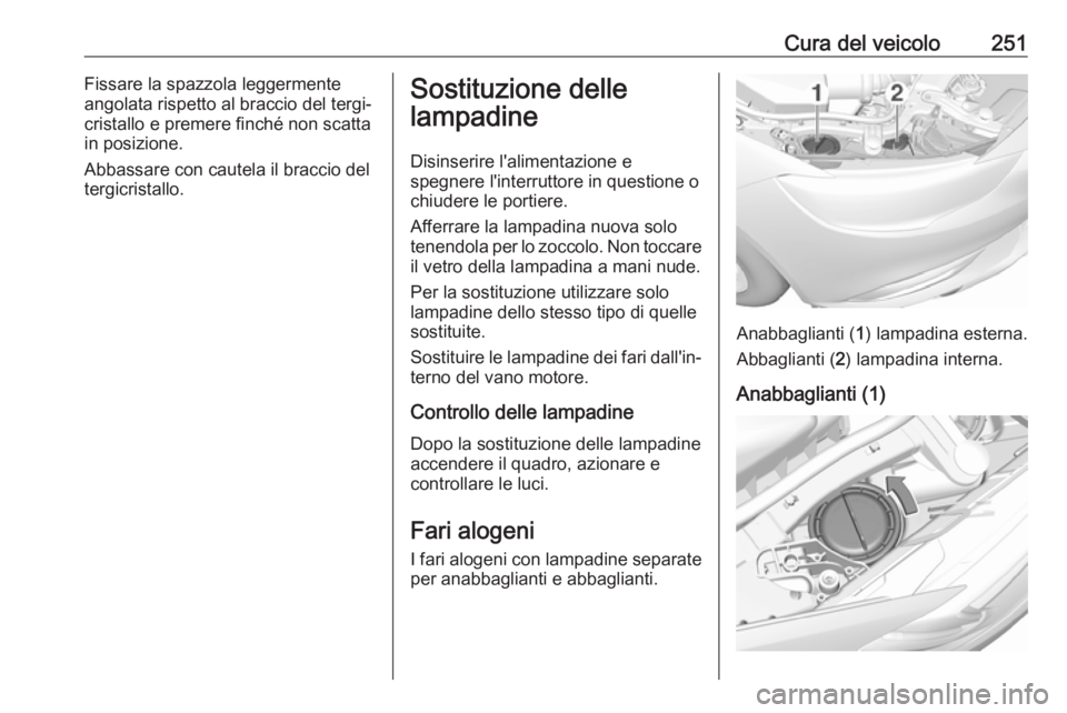 OPEL INSIGNIA BREAK 2017.5  Manuale di uso e manutenzione (in Italian) Cura del veicolo251Fissare la spazzola leggermente
angolata rispetto al braccio del tergi‐
cristallo e premere finché non scatta
in posizione.
Abbassare con cautela il braccio del tergicristallo.So