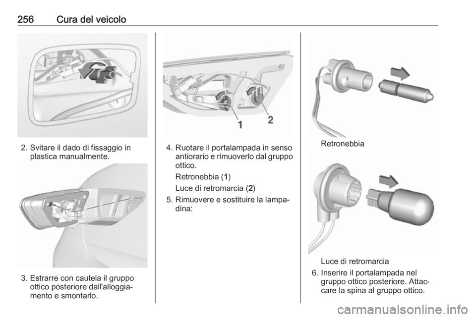 OPEL INSIGNIA BREAK 2017.5  Manuale di uso e manutenzione (in Italian) 256Cura del veicolo
2. Svitare il dado di fissaggio inplastica manualmente.
3. Estrarre con cautela il gruppoottico posteriore dall'alloggia‐
mento e smontarlo.
4. Ruotare il portalampada in sen