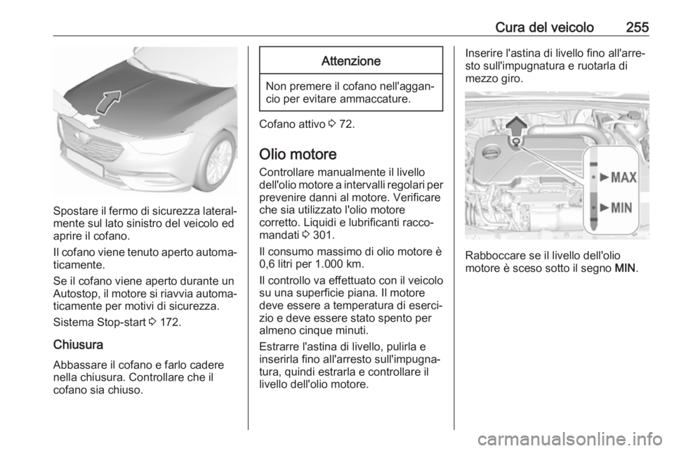 OPEL INSIGNIA BREAK 2017.75  Manuale di uso e manutenzione (in Italian) Cura del veicolo255
Spostare il fermo di sicurezza lateral‐mente sul lato sinistro del veicolo ed
aprire il cofano.
Il cofano viene tenuto aperto automa‐
ticamente.
Se il cofano viene aperto duran