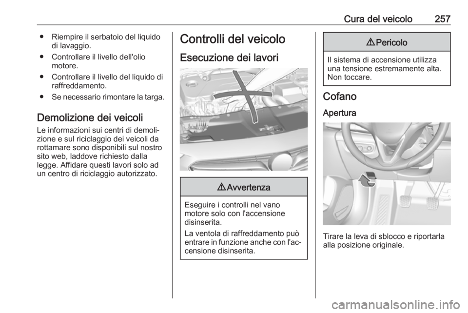 OPEL INSIGNIA BREAK 2018 Manuale di uso e manutenzione (in Italian) Cura del veicolo257● Riempire il serbatoio del liquidodi lavaggio.
● Controllare il livello dell'olio motore.
● Controllare il livello del liquido di raffreddamento.
● Se necessario rimont OPEL INSIGNIA BREAK 2018 Manuale di uso e manutenzione (in Italian) Cura del veicolo257● Riempire il serbatoio del liquidodi lavaggio.
● Controllare il livello dell'olio motore.
● Controllare il livello del liquido di raffreddamento.
● Se necessario rimont