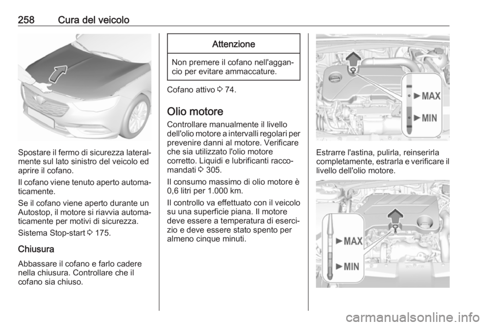 OPEL INSIGNIA BREAK 2018 Manuale di uso e manutenzione (in Italian) 258Cura del veicolo
Spostare il fermo di sicurezza lateral‐mente sul lato sinistro del veicolo ed
aprire il cofano.
Il cofano viene tenuto aperto automa‐
ticamente.
Se il cofano viene aperto duran OPEL INSIGNIA BREAK 2018 Manuale di uso e manutenzione (in Italian) 258Cura del veicolo
Spostare il fermo di sicurezza lateral‐mente sul lato sinistro del veicolo ed
aprire il cofano.
Il cofano viene tenuto aperto automa‐
ticamente.
Se il cofano viene aperto duran