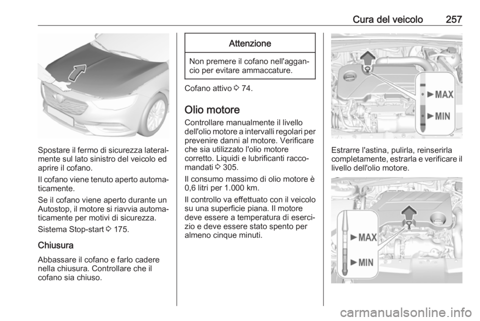 OPEL INSIGNIA BREAK 2018.5 Manuale di uso e manutenzione (in Italian) Cura del veicolo257
Spostare il fermo di sicurezza lateral‐mente sul lato sinistro del veicolo ed
aprire il cofano.
Il cofano viene tenuto aperto automa‐
ticamente.
Se il cofano viene aperto duran OPEL INSIGNIA BREAK 2018.5 Manuale di uso e manutenzione (in Italian) Cura del veicolo257
Spostare il fermo di sicurezza lateral‐mente sul lato sinistro del veicolo ed
aprire il cofano.
Il cofano viene tenuto aperto automa‐
ticamente.
Se il cofano viene aperto duran