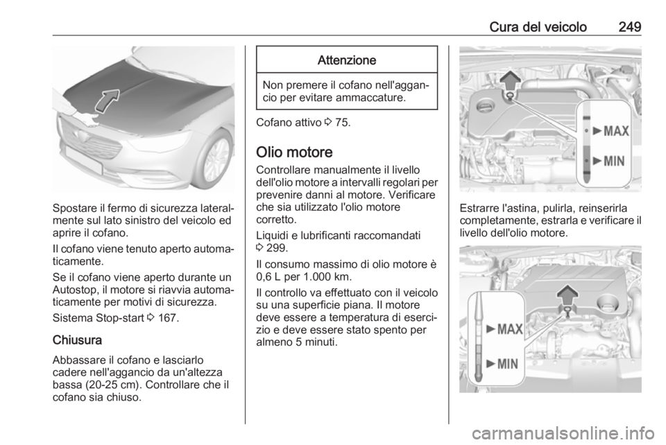 OPEL INSIGNIA BREAK 2020 Manuale di uso e manutenzione (in Italian) Cura del veicolo249
Spostare il fermo di sicurezza lateral‐mente sul lato sinistro del veicolo ed
aprire il cofano.
Il cofano viene tenuto aperto automa‐
ticamente.
Se il cofano viene aperto duran OPEL INSIGNIA BREAK 2020 Manuale di uso e manutenzione (in Italian) Cura del veicolo249
Spostare il fermo di sicurezza lateral‐mente sul lato sinistro del veicolo ed
aprire il cofano.
Il cofano viene tenuto aperto automa‐
ticamente.
Se il cofano viene aperto duran