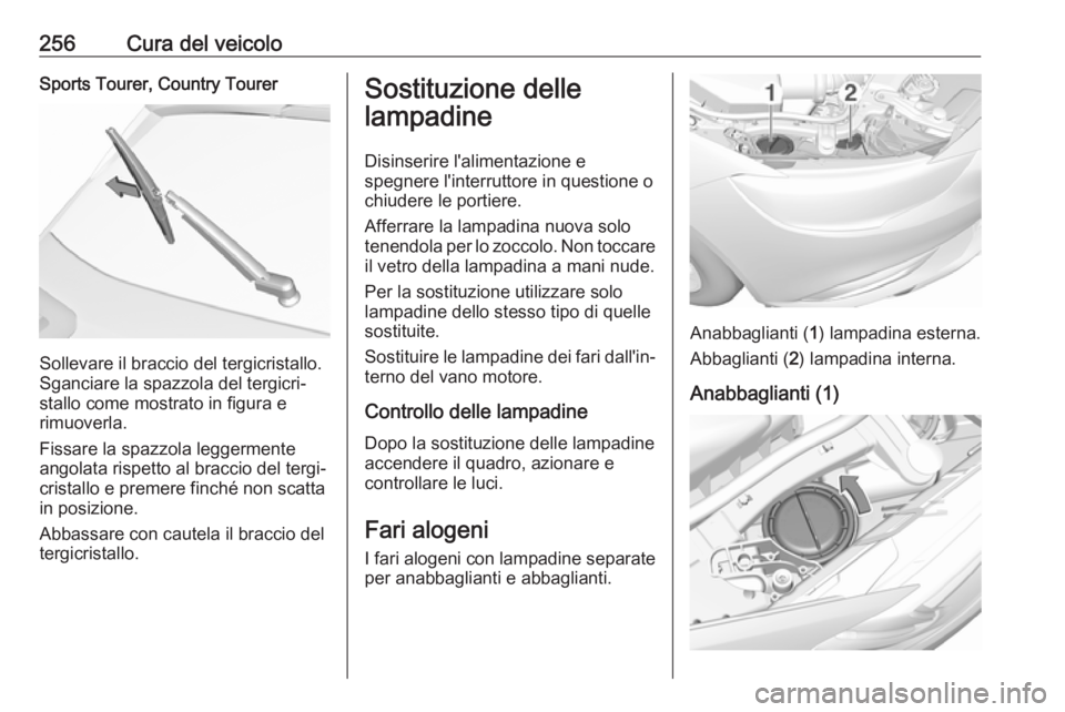 OPEL INSIGNIA BREAK 2020 Manuale di uso e manutenzione (in Italian) 256Cura del veicoloSports Tourer, Country Tourer
Sollevare il braccio del tergicristallo.
Sganciare la spazzola del tergicri‐
stallo come mostrato in figura e
rimuoverla.
Fissare la spazzola leggerm OPEL INSIGNIA BREAK 2020 Manuale di uso e manutenzione (in Italian) 256Cura del veicoloSports Tourer, Country Tourer
Sollevare il braccio del tergicristallo.
Sganciare la spazzola del tergicri‐
stallo come mostrato in figura e
rimuoverla.
Fissare la spazzola leggerm