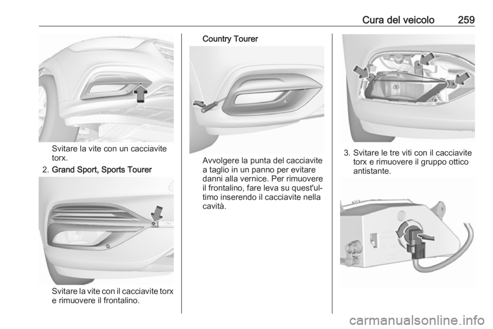 OPEL INSIGNIA BREAK 2020  Manuale di uso e manutenzione (in Italian) Cura del veicolo259
Svitare la vite con un cacciavite
torx.
2. Grand Sport, Sports Tourer
Svitare la vite con il cacciavite torx
e rimuovere il frontalino.
Country Tourer
Avvolgere la punta del caccia