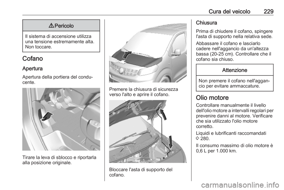 OPEL VIVARO C 2020 Manuale di uso e manutenzione (in Italian) Cura del veicolo2299Pericolo
Il sistema di accensione utilizza
una tensione estremamente alta.
Non toccare.
Cofano
Apertura Apertura della portiera del condu‐
cente.
Tirare la leva di sblocco e ripo OPEL VIVARO C 2020 Manuale di uso e manutenzione (in Italian) Cura del veicolo2299Pericolo
Il sistema di accensione utilizza
una tensione estremamente alta.
Non toccare.
Cofano
Apertura Apertura della portiera del condu‐
cente.
Tirare la leva di sblocco e ripo