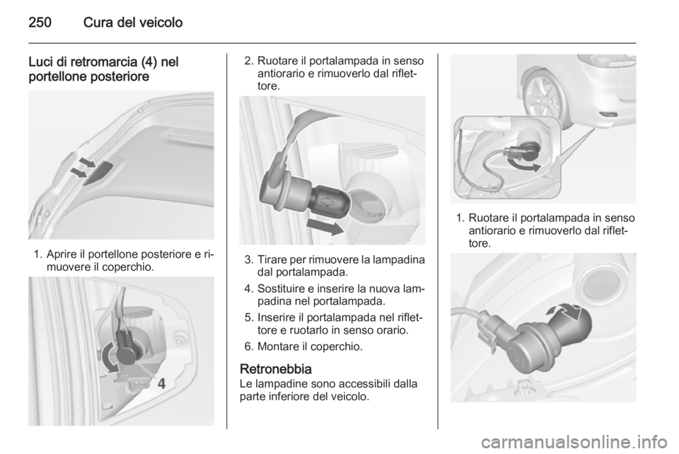 OPEL ZAFIRA C 2015 Manuale di uso e manutenzione (in Italian) 250Cura del veicolo
Luci di retromarcia (4) nel
portellone posteriore
1. Aprire il portellone posteriore e ri‐ muovere il coperchio.
2. Ruotare il portalampada in senso antiorario e rimuoverlo dal r OPEL ZAFIRA C 2015 Manuale di uso e manutenzione (in Italian) 250Cura del veicolo
Luci di retromarcia (4) nel
portellone posteriore
1. Aprire il portellone posteriore e ri‐ muovere il coperchio.
2. Ruotare il portalampada in senso antiorario e rimuoverlo dal r