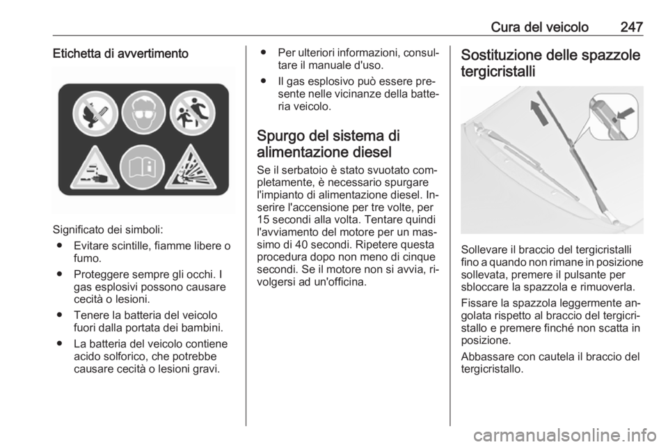 OPEL ZAFIRA C 2016.5  Manuale di uso e manutenzione (in Italian) Cura del veicolo247Etichetta di avvertimento
Significato dei simboli:● Evitare scintille, fiamme libere o fumo.
● Proteggere sempre gli occhi. I gas esplosivi possono causare
cecità o lesioni.
