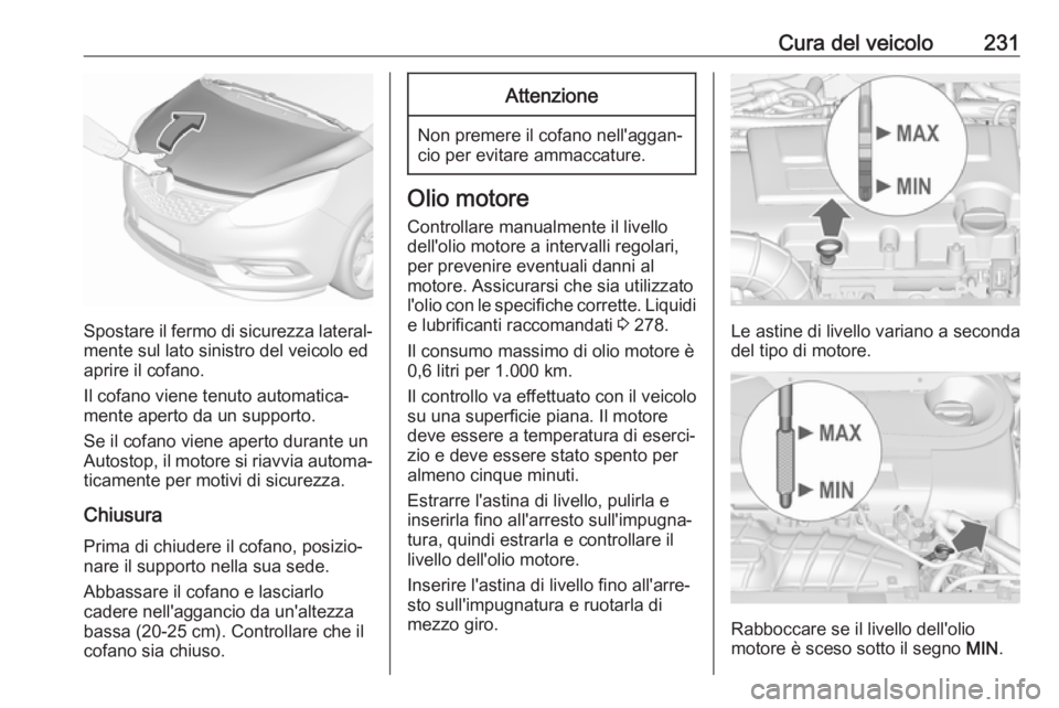 OPEL ZAFIRA C 2017  Manuale di uso e manutenzione (in Italian) Cura del veicolo231
Spostare il fermo di sicurezza lateral‐mente sul lato sinistro del veicolo ed
aprire il cofano.
Il cofano viene tenuto automatica‐
mente aperto da un supporto.
Se il cofano vie