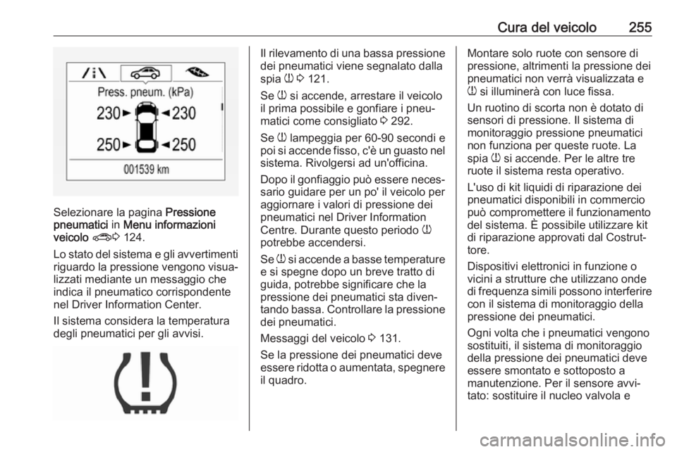 OPEL ZAFIRA C 2017  Manuale di uso e manutenzione (in Italian) Cura del veicolo255
Selezionare la pagina Pressione
pneumatici  in Menu informazioni
veicolo  ? 3 124.
Lo stato del sistema e gli avvertimenti
riguardo la pressione vengono visua‐
lizzati mediante u