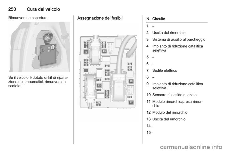OPEL ZAFIRA C 2017.25  Manuale di uso e manutenzione (in Italian) 250Cura del veicoloRimuovere la copertura.
Se il veicolo è dotato di kit di ripara‐
zione dei pneumatici, rimuovere la
scatola.
Assegnazione dei fusibiliN.Circuito1–2Uscita del rimorchio3Sistema 