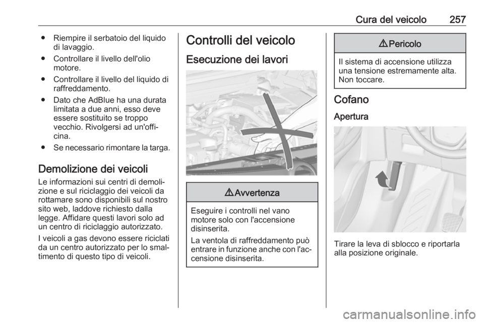 OPEL ZAFIRA C 2019  Manuale di uso e manutenzione (in Italian) Cura del veicolo257● Riempire il serbatoio del liquidodi lavaggio.
● Controllare il livello dell'olio motore.
● Controllare il livello del liquido di raffreddamento.
● Dato che AdBlue ha u