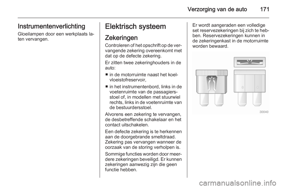 OPEL ANTARA 2014.5 Gebruikershandleiding (in Dutch) Verzorging van de auto171Instrumentenverlichting
Gloeilampen door een werkplaats la‐
ten vervangen.Elektrisch systeem
Zekeringen Controleren of het opschrift op de ver‐ vangende zekering overeenko OPEL ANTARA 2014.5 Gebruikershandleiding (in Dutch) Verzorging van de auto171Instrumentenverlichting
Gloeilampen door een werkplaats la‐
ten vervangen.Elektrisch systeem
Zekeringen Controleren of het opschrift op de ver‐ vangende zekering overeenko