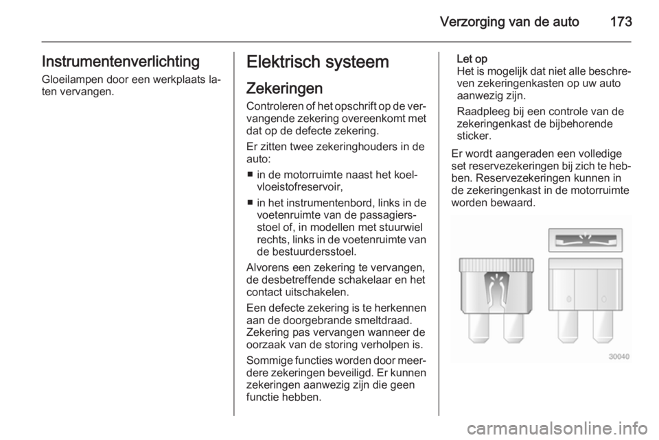 OPEL ANTARA 2015 Gebruikershandleiding (in Dutch) Verzorging van de auto173Instrumentenverlichting
Gloeilampen door een werkplaats la‐
ten vervangen.Elektrisch systeem
Zekeringen Controleren of het opschrift op de ver‐ vangende zekering overeenko OPEL ANTARA 2015 Gebruikershandleiding (in Dutch) Verzorging van de auto173Instrumentenverlichting
Gloeilampen door een werkplaats la‐
ten vervangen.Elektrisch systeem
Zekeringen Controleren of het opschrift op de ver‐ vangende zekering overeenko