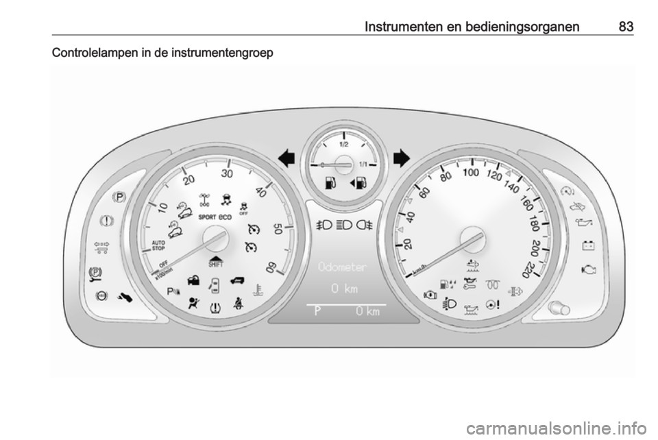 OPEL ANTARA 2017.5  Gebruikershandleiding (in Dutch) Instrumenten en bedieningsorganen83Controlelampen in de instrumentengroep 
