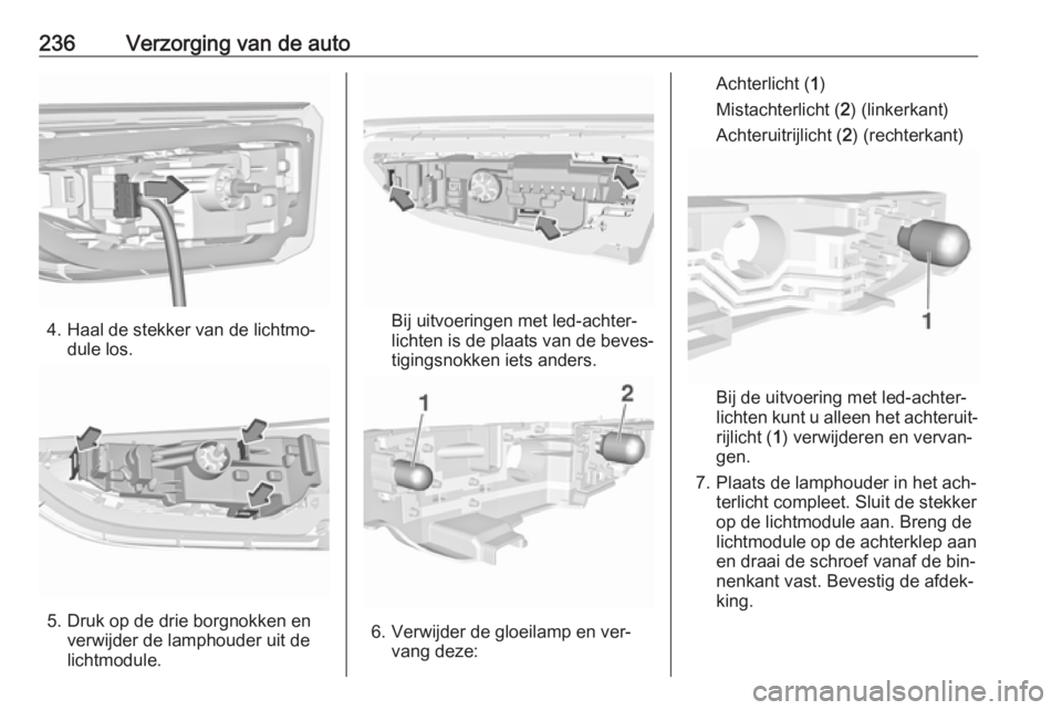OPEL ASTRA K 2016.5 Gebruikershandleiding (in Dutch) 236Verzorging van de auto
4. Haal de stekker van de lichtmo‐dule los.
5. Druk op de drie borgnokken enverwijder de lamphouder uit de
lichtmodule.
Bij uitvoeringen met led-achter‐
lichten is de pla OPEL ASTRA K 2016.5 Gebruikershandleiding (in Dutch) 236Verzorging van de auto
4. Haal de stekker van de lichtmo‐dule los.
5. Druk op de drie borgnokken enverwijder de lamphouder uit de
lichtmodule.
Bij uitvoeringen met led-achter‐
lichten is de pla